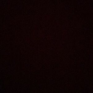 Meet your Posher, Daisy